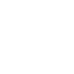 Ligue 1
