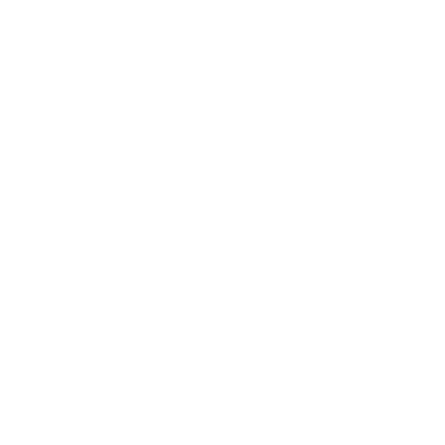 UEFA Champions League